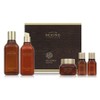 Beyond Timeless Phyto Cell Renew Basic 2.5 Piece Set, 1 Set / 비욘드 타임리스 피토 셀 리뉴 기초 2.5종 세트, 1세트