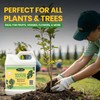 EZ-GRO Epsom Salt for Gardening, 32 oz (Quart) - Professional