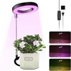 Ground-plugged Plant Light Timable Dimmable Angel Ring Full Spectrum Imitation