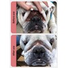 GJYC PET Bulldog Pug Wrinkle Grooming Kit - Cleaning Wipes