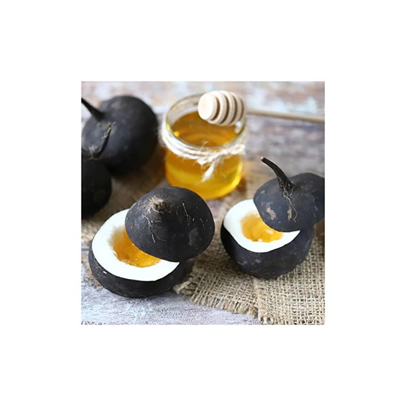 Everwilde Farms - 1 Oz Organic Black Spanish Round Radish