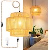 QIYIZM Plug in Pendant Light Hanging Lights with Plug in