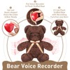 2 Pcs Bear Stuffed Animals with Voice Recorder Set, 60
