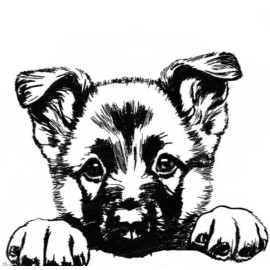 Belgian Malinois Shepherd Pup Dog Breed Bathroom White Hand Towels Embroidered