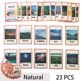 Richardy 23PCS/Set Natural Kids Gifts English Flash Cards Pocket Card Educational Learning Baby Toys for Children Pre-Kindergarten