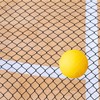 Spike Replacement Set Balls or Nets (2Net)