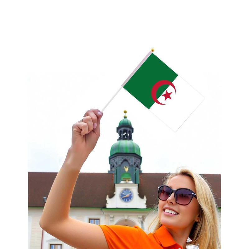 25 Packs Small Algeria Flags on Handheld Stick，Miniature Algerian Flag