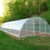 Greenhouse Vinyl House Cover 058970DC 5ea