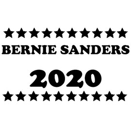 Bernie Sanders 2020 500 Pcs Stickers Pack 2.25 x 1.25 in Democrat Election Vote