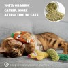 5 Pack Catnip Toys,Organic Cat nip Filled Toys for Indoor