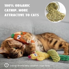 5 Pack Catnip Toys,Organic Cat nip Filled Toys for Indoor Cats, Interactive Plush Chew Fun Without Cotton, Teething Soft Pet Toy for Kittens Small Cat Toys