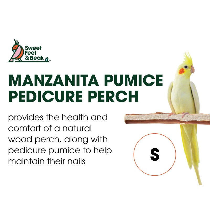 Sweet Feet and Beak Superoost Manzanita Pumice Pedicure Perch- Easy