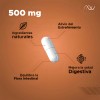 Psyllium, Probióticos, Papaína y Bromelina | Fórmula en Cápsulas con