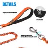 Dog Leash Chew Proof, Chain Leash Anti Chew Dog Leash