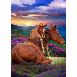 DAERLE 5D Diamond Painting Horse, Diamond Painting Pictures Pretty Horses, Diamond Art Adult Full DIY Diamond Art Painting Embroidery Set, Cross Stitch Pictures, Home Wall Decor, 30 x 40 cm