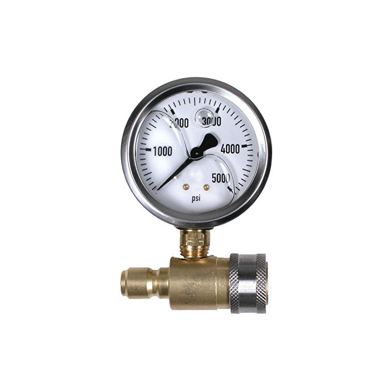 5000 PSI 2-1/2" Quick Connect Cold Water Test Gauge Assembly