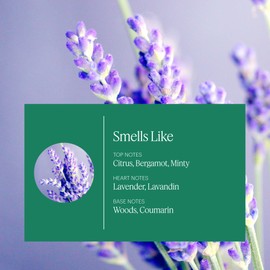 Aera Mini Home Hygiene Lavender and Bergamot - Essential Oil for Home - Relaxing Fragrance - Notes of Lavender, Lavandin and Wild Mint - Scent Refill - Capsule Size Works with Mini Diffuser