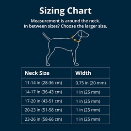 RUFFWEAR Web Reaction Collar, Extra Large Dog Collar, Adjustable Martingale Collar with Aluminium V-Ring & Side Release, Comfy Fabric Reflective Dog Collar with Tubelock Webbing, 58-66cm, Basalt Grey