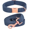 ARING PET Dog Collar and Leash, Cute Dog Collar Set,