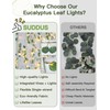 suddus Vines with Lights Plug in, 33ft 100 LED Eucalyptus