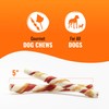 Good ‘n’ Fun Triple Flavor Twists for All Dogs, 70