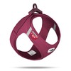 curli Dog Vest Harness with Clasp, Air Mesh, Ruby, L