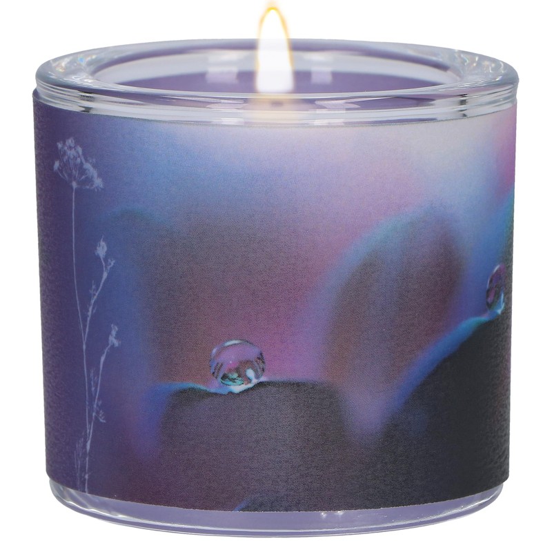 Trost der Erinnerung: LichtMoment