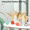 KAEGOUSY 6Pcs Cat Toy Balls with Feather Interactive Feather Toy