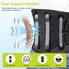 FALCOFIT Back Brace For Lower Back Pain, With 4 Metal Supports, Four Elastic Bands, Breathable & Strong Support, Effectively Relieve Your Pain, Suitable For Herniated Disc, Sciatica, Scoliosis (M)