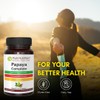 PURENUTRITION ME Pure Nutrition Papaya Complete - 500mg | 60