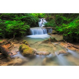 OHIOCATII Waterfall Aquarium Background Lush Green Jungle Rainforest Terrarium Background Tranquil Stream with Rocks Fish Tank Background Forest Falls Aquarium Backdrop Wallpaper Poster Vinyl 48x24in