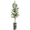 Artificial Tree in Vibrant Black and White Abstract Leaf Planter,