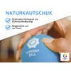 Fascia Balls in Net Set of 2 Natural Rubber –