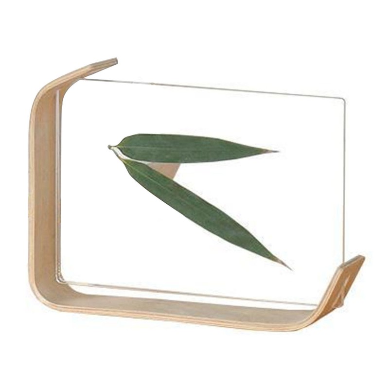 Desktop Plant Specimen Frame Wooden Acrylic Simple Modern Photo Frame