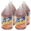 F9 EFFLO Calcium and Efflorescence Remover - 1 Gallon