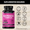 Beyond Vitamins | Equinacea Complex con Ajo y Vitamina C