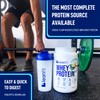 LeanFit WHEY Protein Natural Vanilla – 100% Whey Protein Powder,
