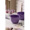 Rosti Margrethe Mixing Bowl 1.5 Litres Lavender