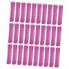 BIUDECO 30Pcs Hair Rollers with Caps Lightweight Plastic Hair Curlers