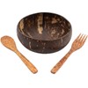ZISHAN 3PCS Coconut Bowl Set, Large Coconut Shell Bowls for