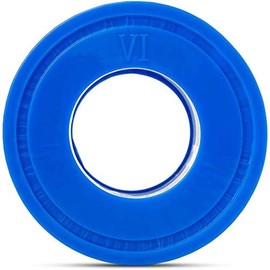 Bestway 6 Pack Coleman Type VI Spa Filter Cartridge for Lay-Z-Spa