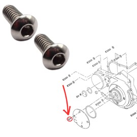 Harley-Davidson Primary Cover Derby Inspection Stainless Hex Bolt Screw Genuine Compatible Dynasoftail Sportster Touring Models FLFXXLH 943/924/941 1/4-20x5/8 (2 x Stainless Material)