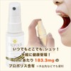 プロポリス リキッド スプレータイプ 30ml 1mlあたり183.3mg含有 オーラルスプレー 甘味エキス 天然香料