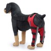 Dog Leg Brace Elastic Safe Shockproof Pet Knee Pads with