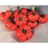 Costoluto Genovese The Ugly Tomato Seed