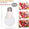 12V LED Light Bulb 7W 630Lm Low Voltage E26 Base