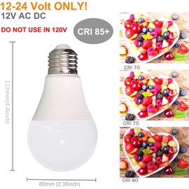 12V LED Light Bulb 7W 630Lm Low Voltage E26 Base (6000K Daylight White) AC/DC 12-24volt 40-60Watt A19 Bulbs Equivalent- Landscape Yard, Battery Power System Off Grid Solar Lighting- 6 Pack
