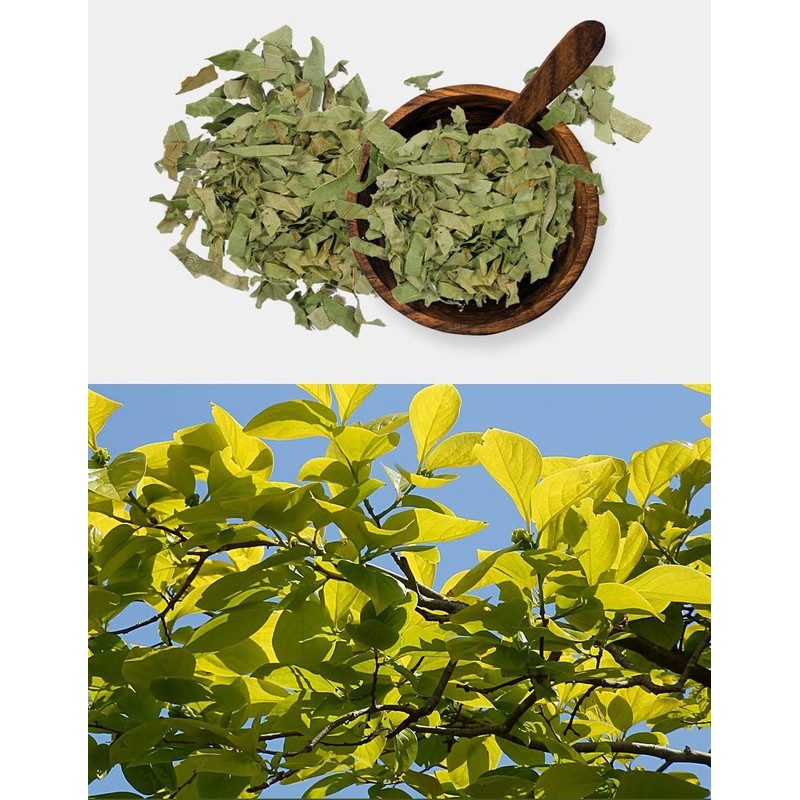 Organic Natural Pure Persimmon Leaf Extract Powder -10.58 Ounce (300g)