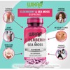 Wixar Naturals Elderberry and Sea Moss Supreme Capsules - Natural