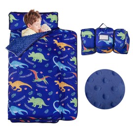 Beavtaens Nap Mat: Toddler Nap Mat with Removable Pillow and Removable Fleece Minky Blanket, Light Weight and Soft Perfect for Preschool and Daycare, 55"x22" Fit Standard Cot(Dinosaur)